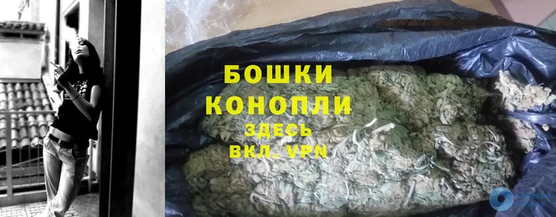 Бошки Шишки THC 21%  omg маркетплейс  Демидов  купить  